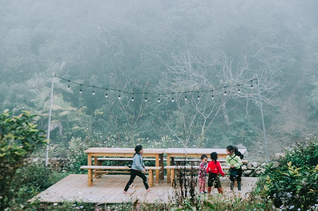 Free Vietnam Nature photo and picture
