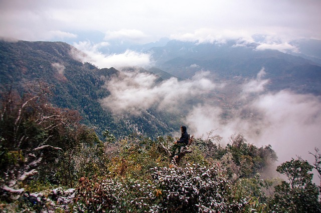 Free Vietnam Nature photo and picture