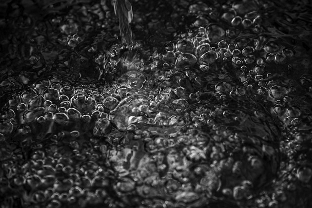 Wasser, Natur, Trinken, Regnen, Tropfen