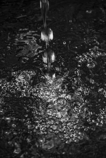 Wasser, Natur, Trinken, Regnen, Tropfen