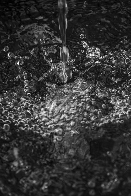 Wasser, Natur, Trinken, Regnen, Tropfen