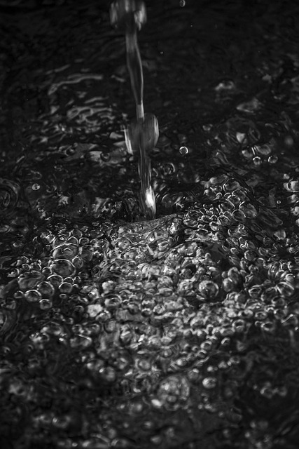 Wasser, Natur, Trinken, Regnen, Tropfen