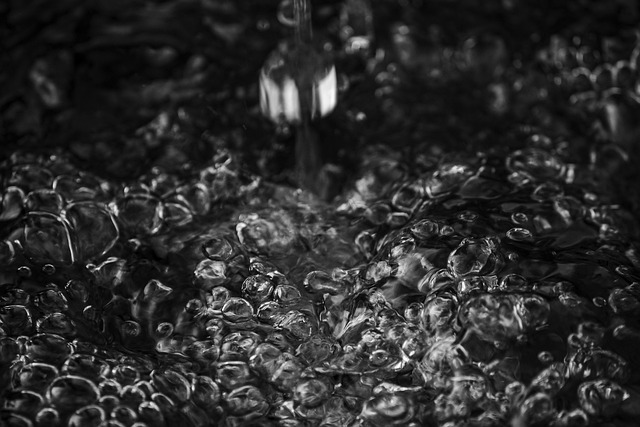 Wasser, Natur, Trinken, Regnen, Tropfen