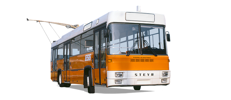 Free Steyr Type Sts 11 illustration and picture