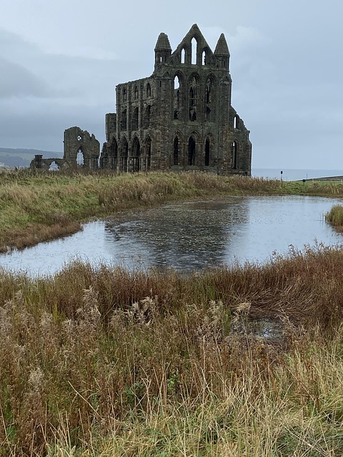 Whitby, Gotisk, Historie, Goth