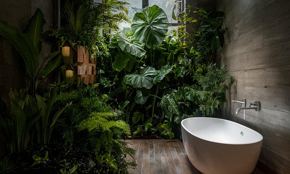 Baño, Bañera, Naturaleza, Limpieza