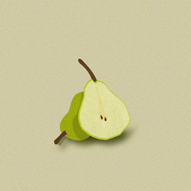 Free pear fruit drawing illustration