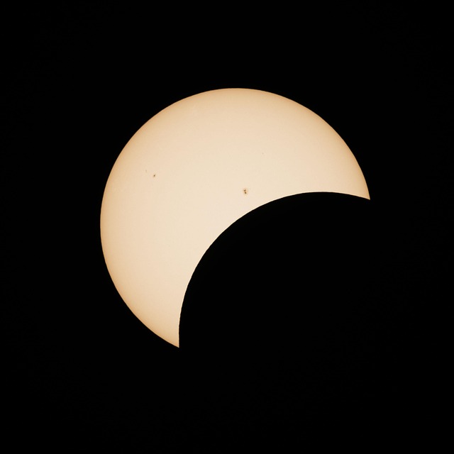Free Solar Eclipse 2024 photo and picture