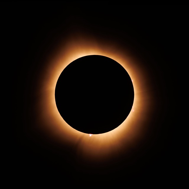 Free Solar Eclipse 2024 photo and picture