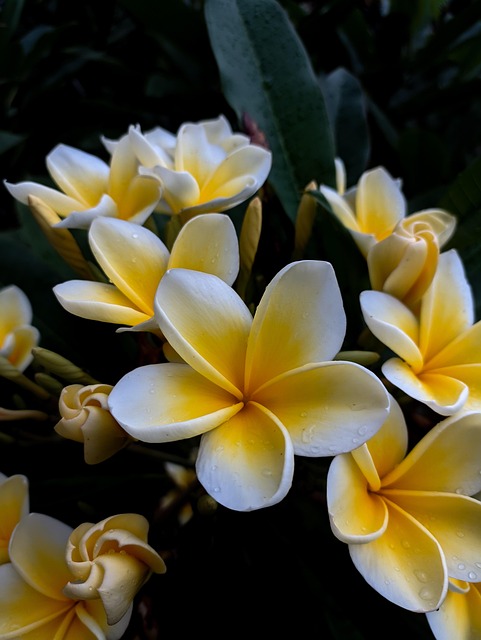 Free Nature View photo and picture