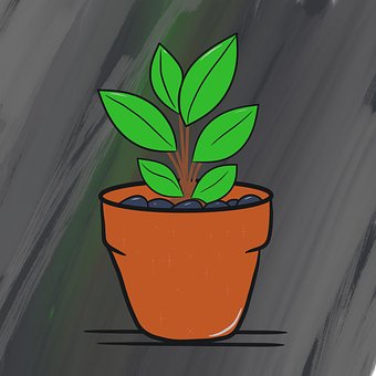 Free Plant Nature photo and picture