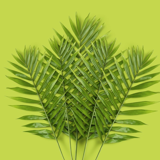 Blätter, Laub, Grün, Natur, Flora
