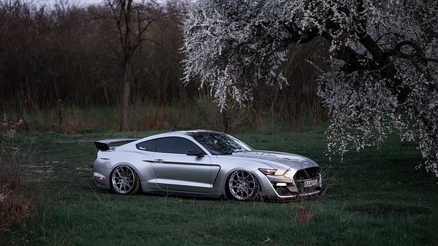 Free Ford Mustang photo and picture