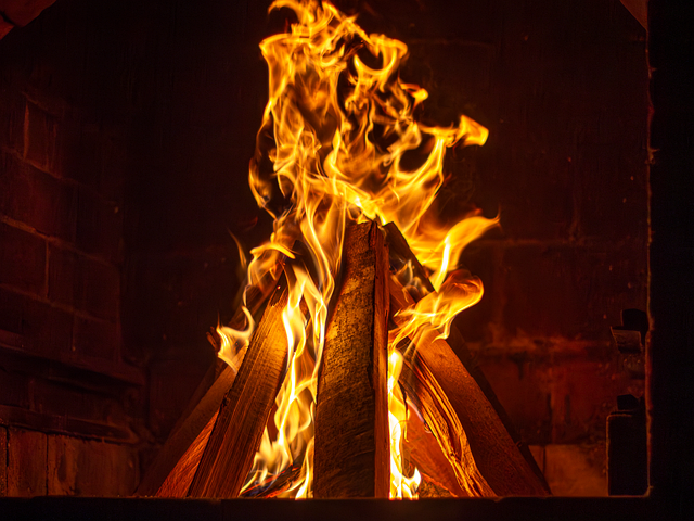 Free campfire fire wood illustration