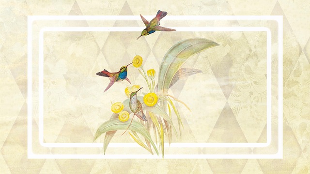 Free background plants birds illustration