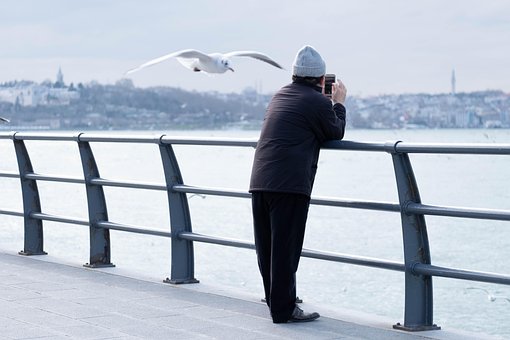 Free Man Bird photo and picture