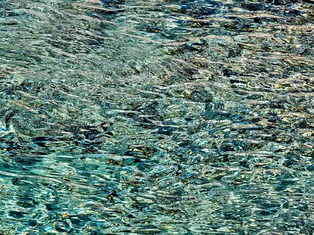 Free Earthday Nature photo and picture