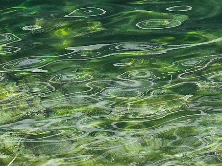 Free Earthday Nature photo and picture