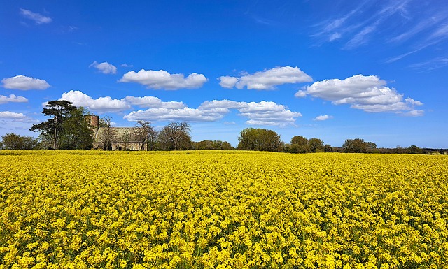 Free Landscape Norfolk photo and picture