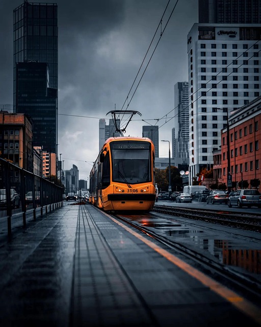 Free tram transport nature illustration