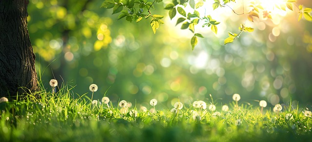 Free ai generated dandelions sunrise illustration