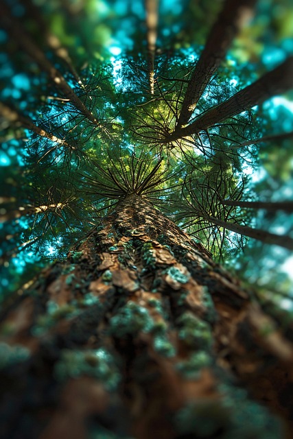 Free ai generated trees giant trees illustration