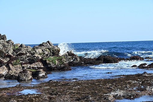 Free Sea Rocky Shore photo and picture