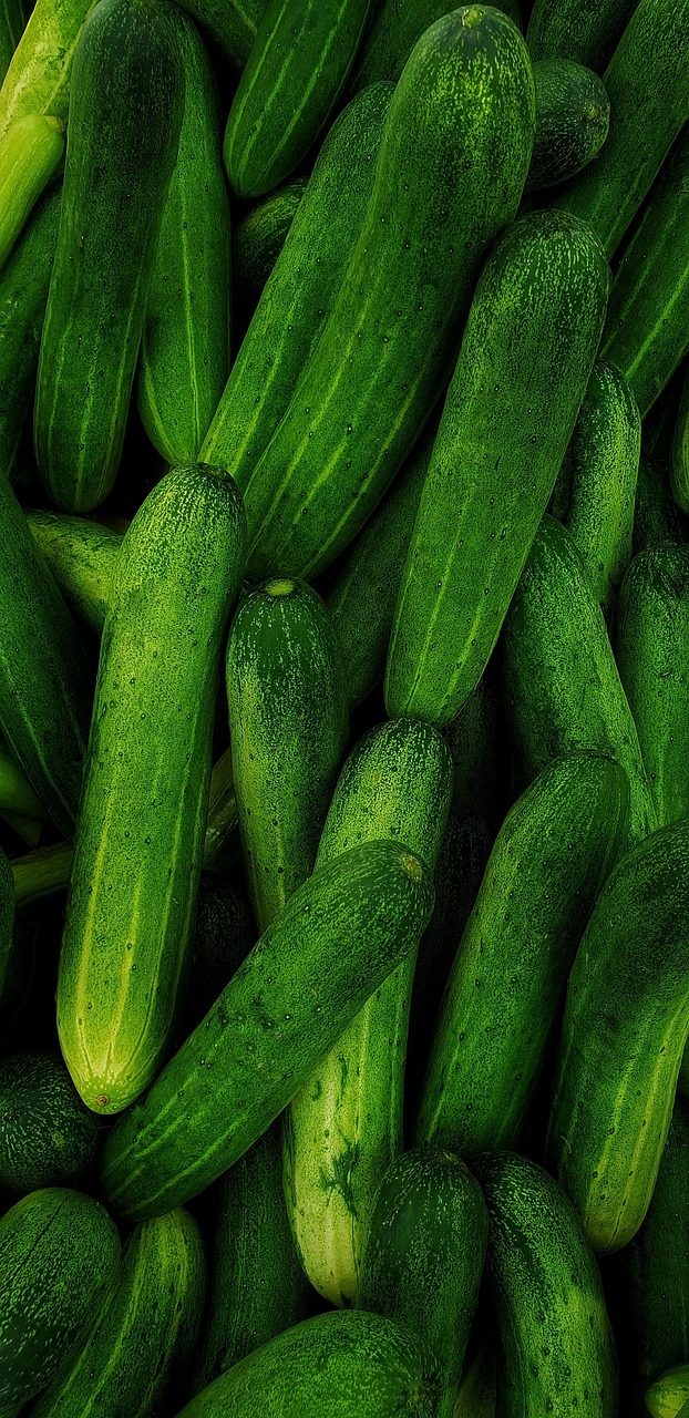 M s De 1 000 Im genes Gratis De Pepinos Y Verduras Pixabay m-s-de-1-000-im-genes-gratis-de-pepinos-y-verduras-pixabay