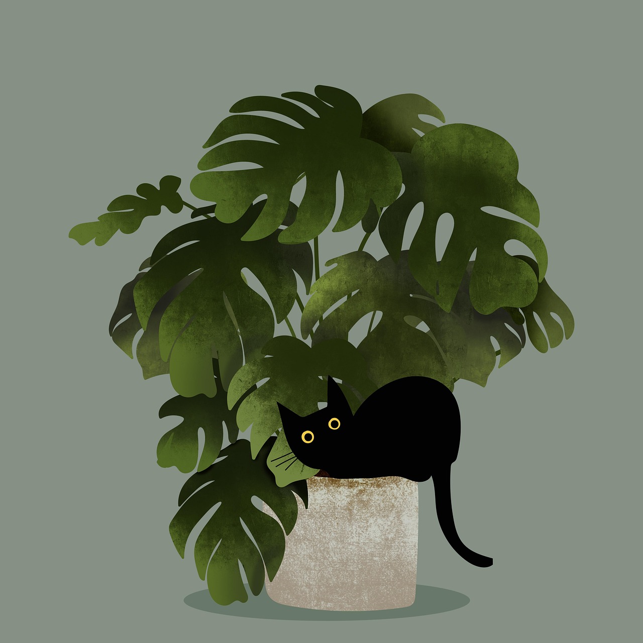 Monstera Pflanzen Kasten - Kostenloses Bild auf Pixabay