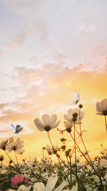 Free Flower Wallpaper illustration and picture