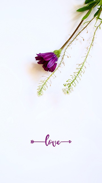 Free Green Illustrative photo and picture