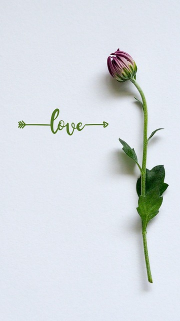 Free Green Illustrative photo and picture