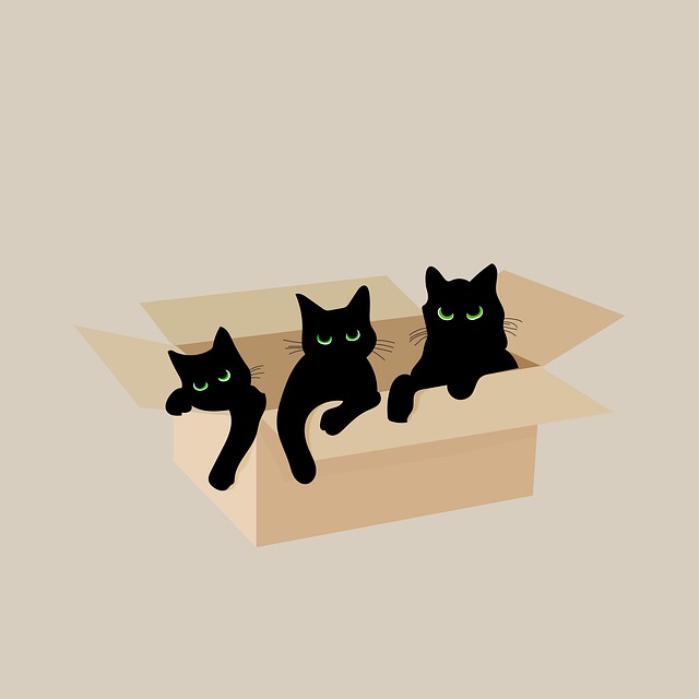 Free box nature cats illustration
