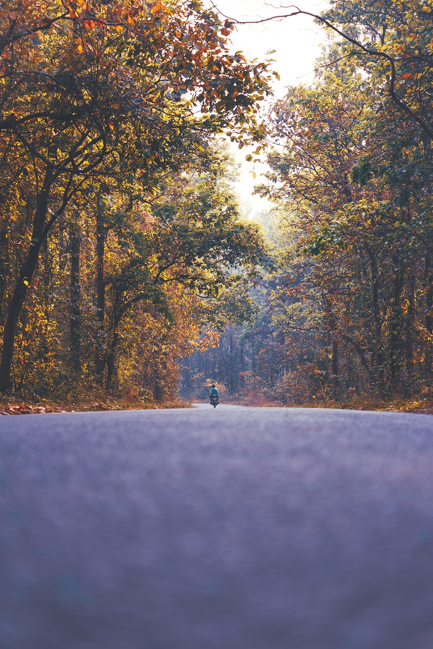 Outdoor Photography Road - Free photo on Pixabay - Pixabay