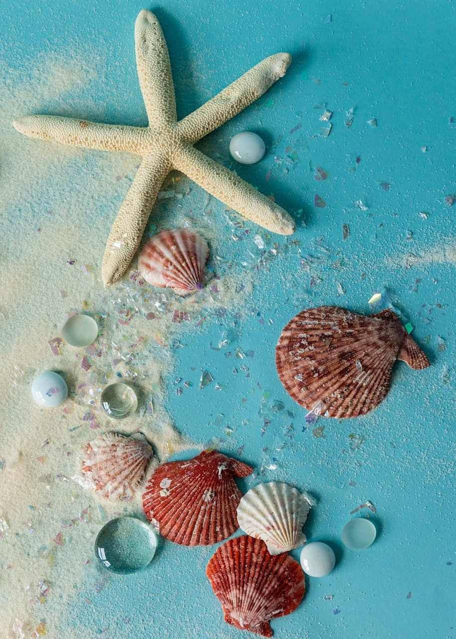 sea-star-free-photo-on-pixabay-pixabay