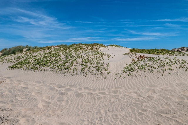 Free Dunes Nature photo and picture