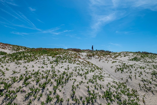Free Dunes Nature photo and picture