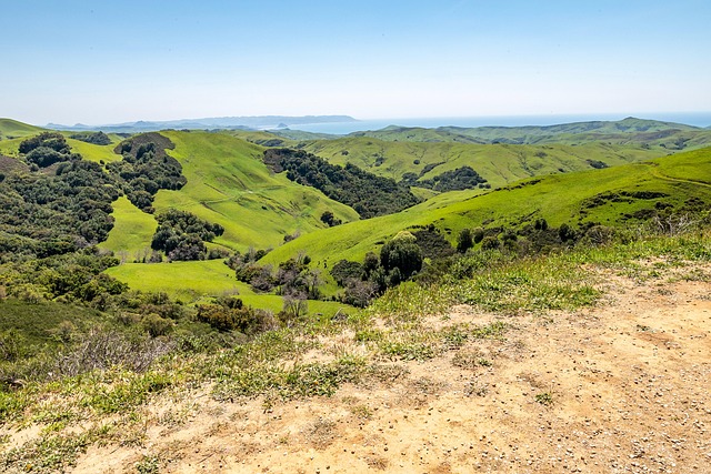 Free Cambria California photo and picture