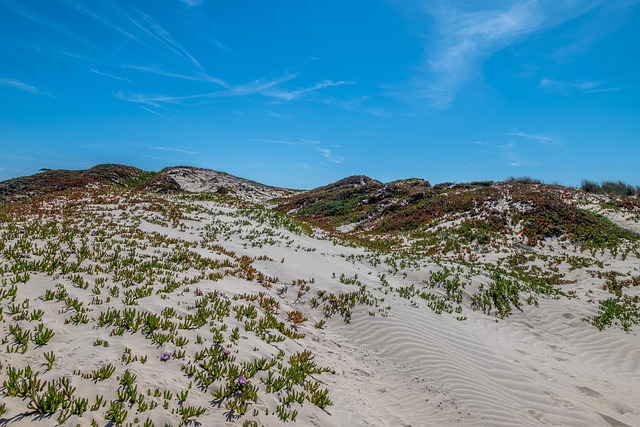Free Dunes Nature photo and picture