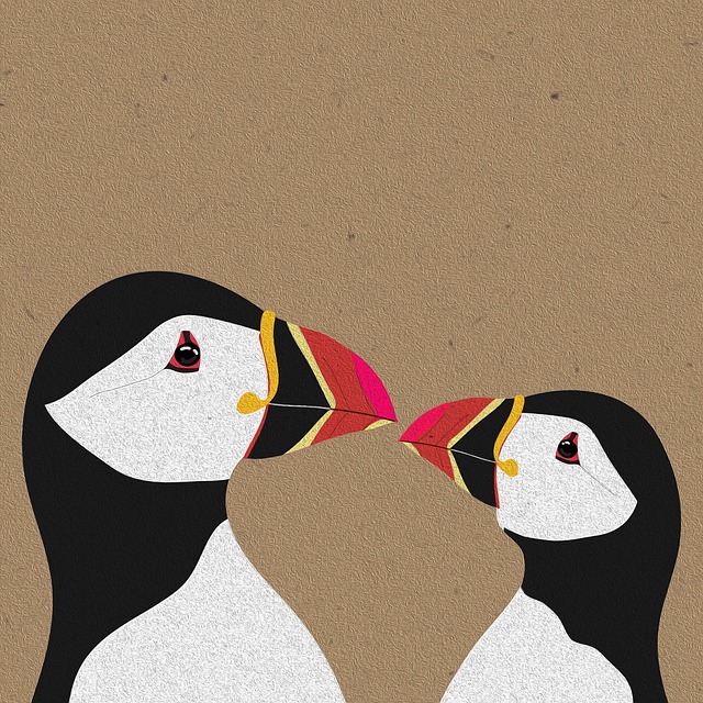 Puffini, Animale, Păsări, Natura, Fundal
