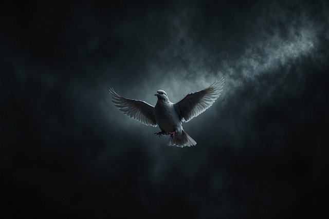 Download free HD stock image of Ai Generated Dove Of Peace Free ai generated dove of peace dove illustration