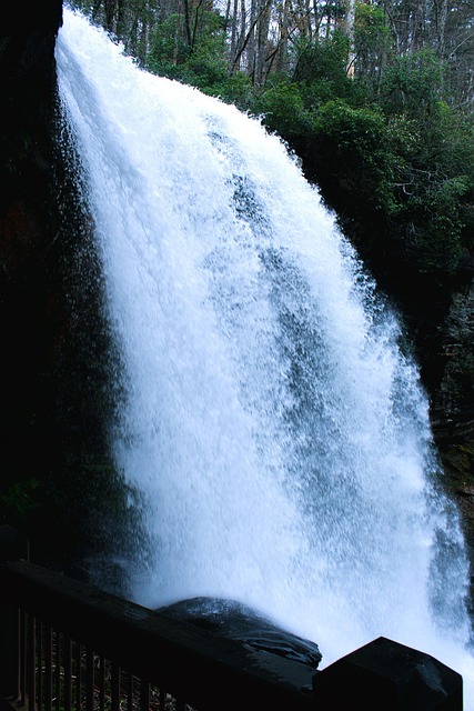 Free Waterfall Nature photo and picture
