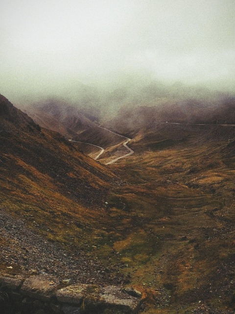 Free Peru Nature photo and picture