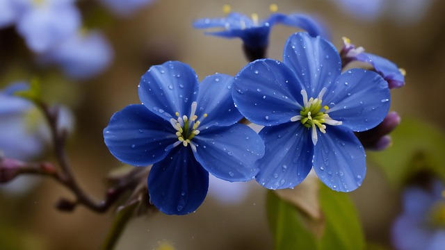 Ai Gerado, Natureza, Flores