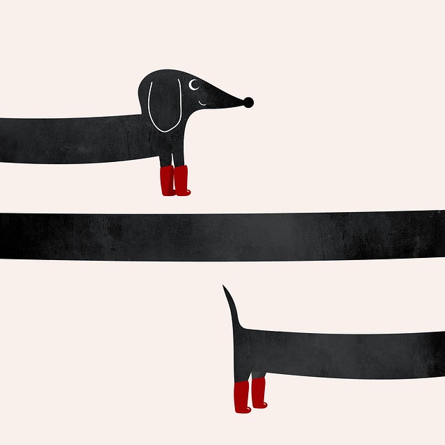 Free dachshund dog animal illustration
