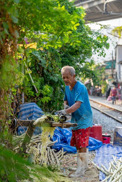Tradition, Kultur, Thailand, Bangkok