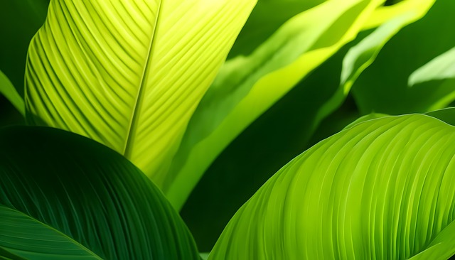 Free ai generated leaves foliage illustration
