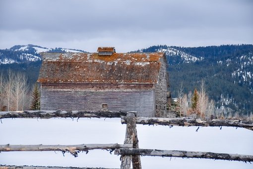 Free Barn Nature photo and picture