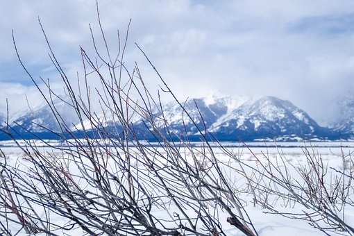 Free Snow Winter photo and picture