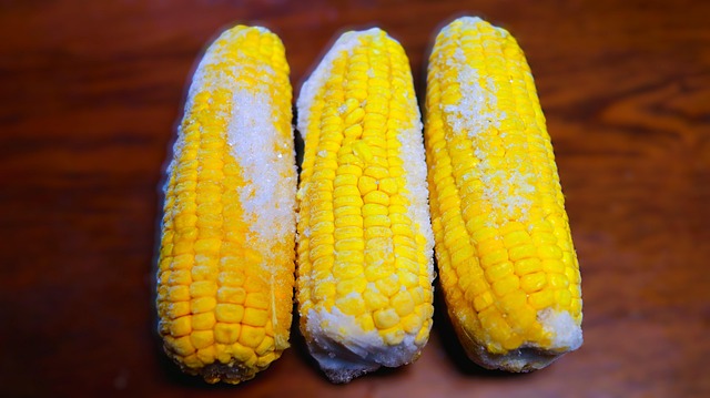 Free Corn Plant photo and picture